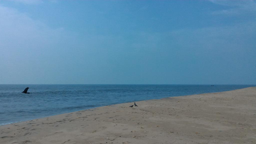 Marari Secret Beach Yoga Homestay Mararikulam Exterior foto